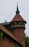P5303306